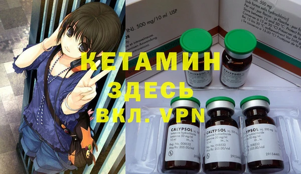 индика Протвино