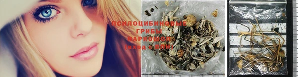индика Балабаново