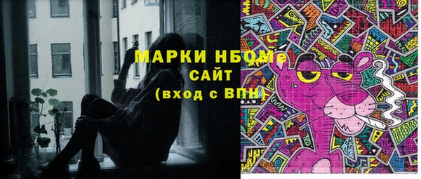 индика Протвино