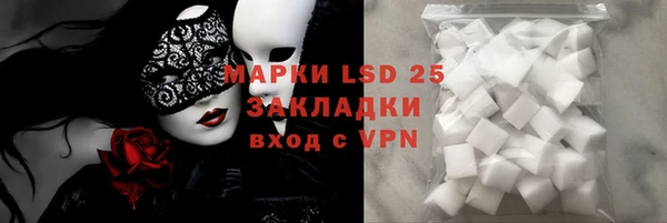 индика Балабаново
