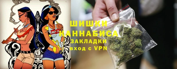 индика Балабаново